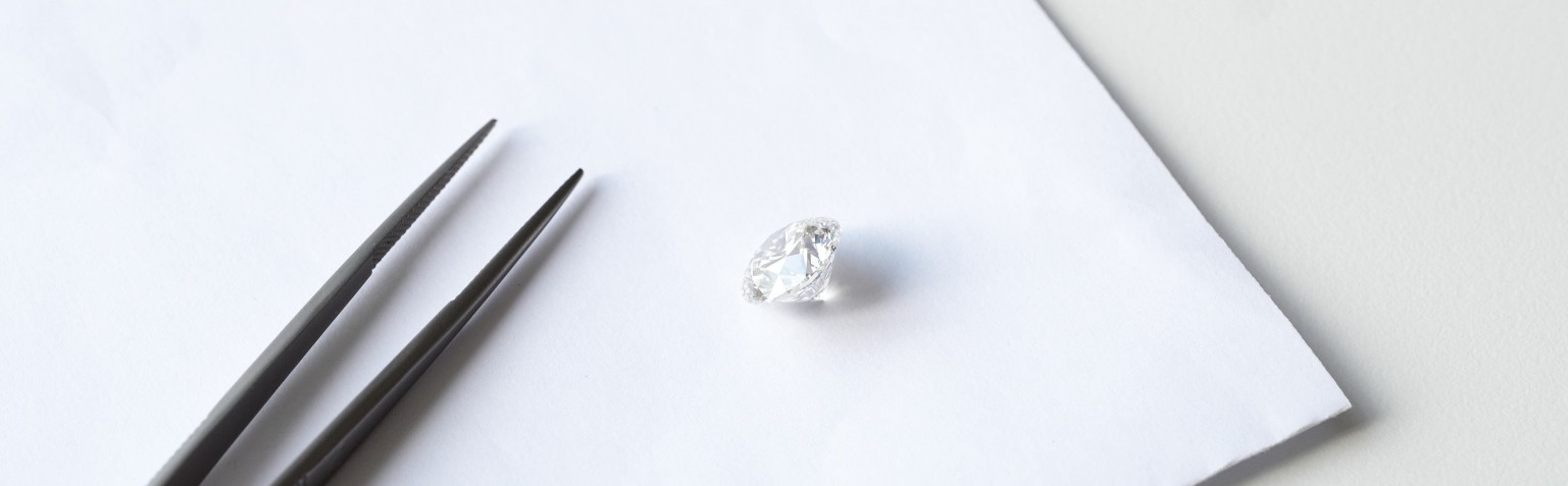 Dans la même collection 